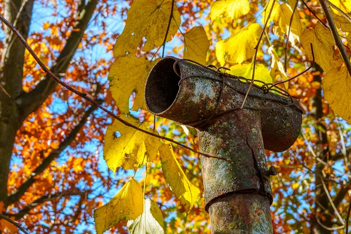 Home downspout surrounded by autumn leaves and fall foliage, representing fall home maintenance