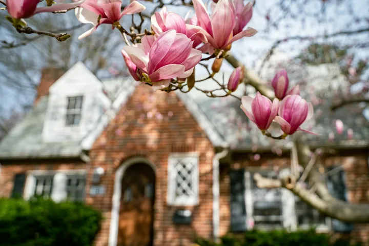 Brick home exterior framed by spring blossoms, representing post winter home maintenance
